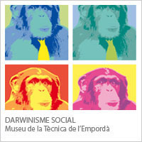 Darwinisme Social MTE